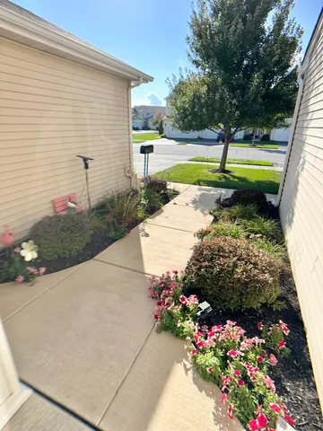 a view of a garden with flowers