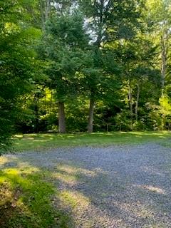 Part of the parking area!