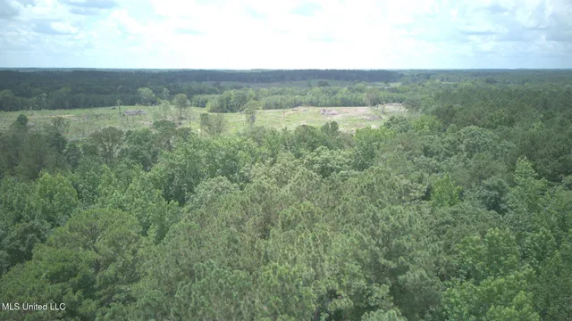 $10,900 | 170 Flowers Road, Kilmichael, MS 39747