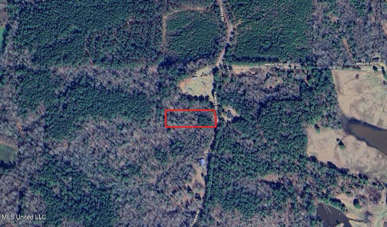 170 Flowers Road Kilmichael, MS 39747 - Photo 4 of 9 A2