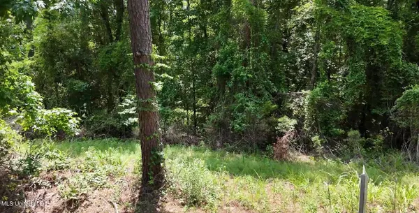 $9,900 | 170 Flowers Road, Kilmichael, MS 39747