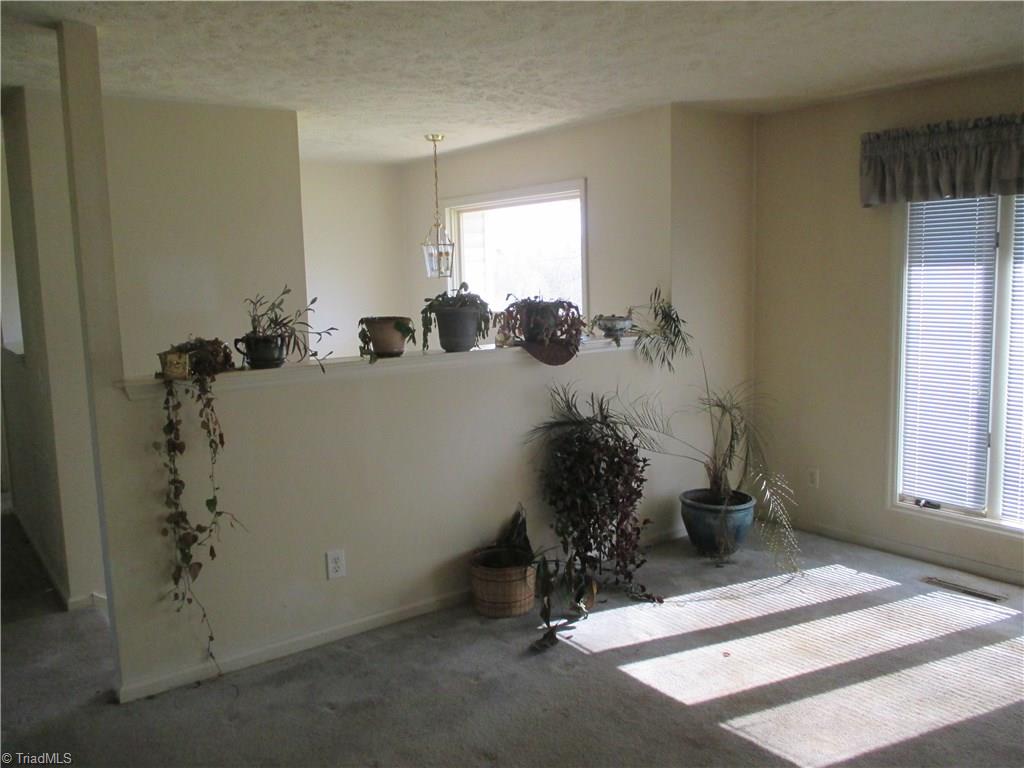 1320 Falcon Road East Bend, NC 27018 - Photo 21 of 30 Gallery Image 21