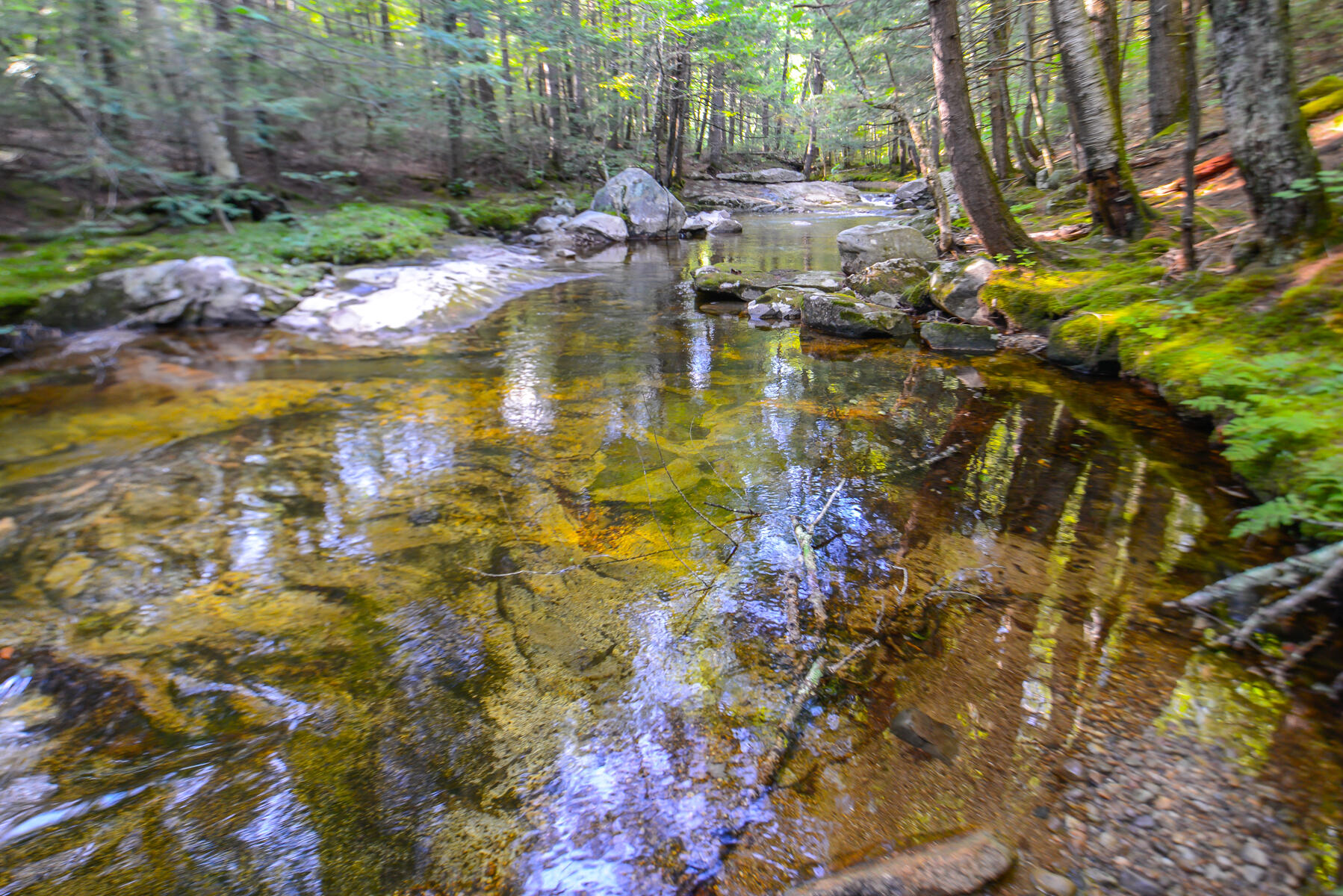 20 Shirley Valley Road Stoneham, ME 04231 - Photo 56 of 69 shirley valley-114