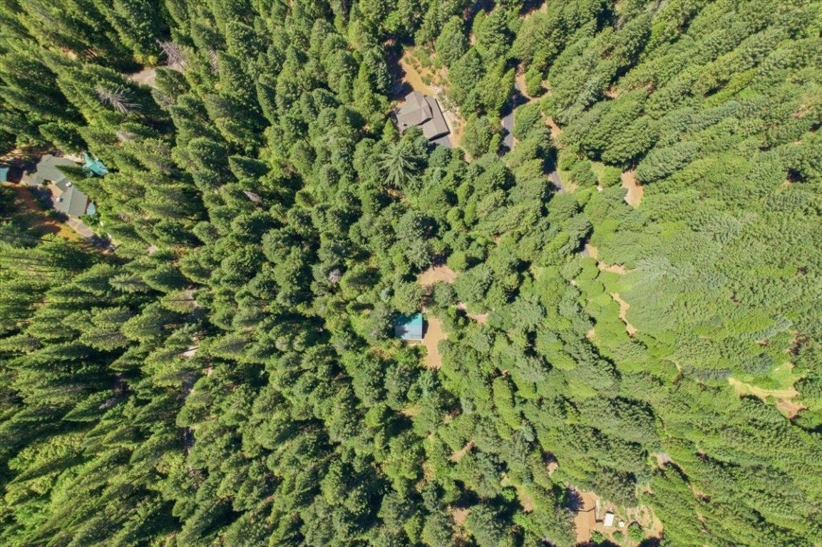 20929 Fall Crk Road Dunsmuir, CA 96025 - Photo 25 of 28 Gallery Image 25