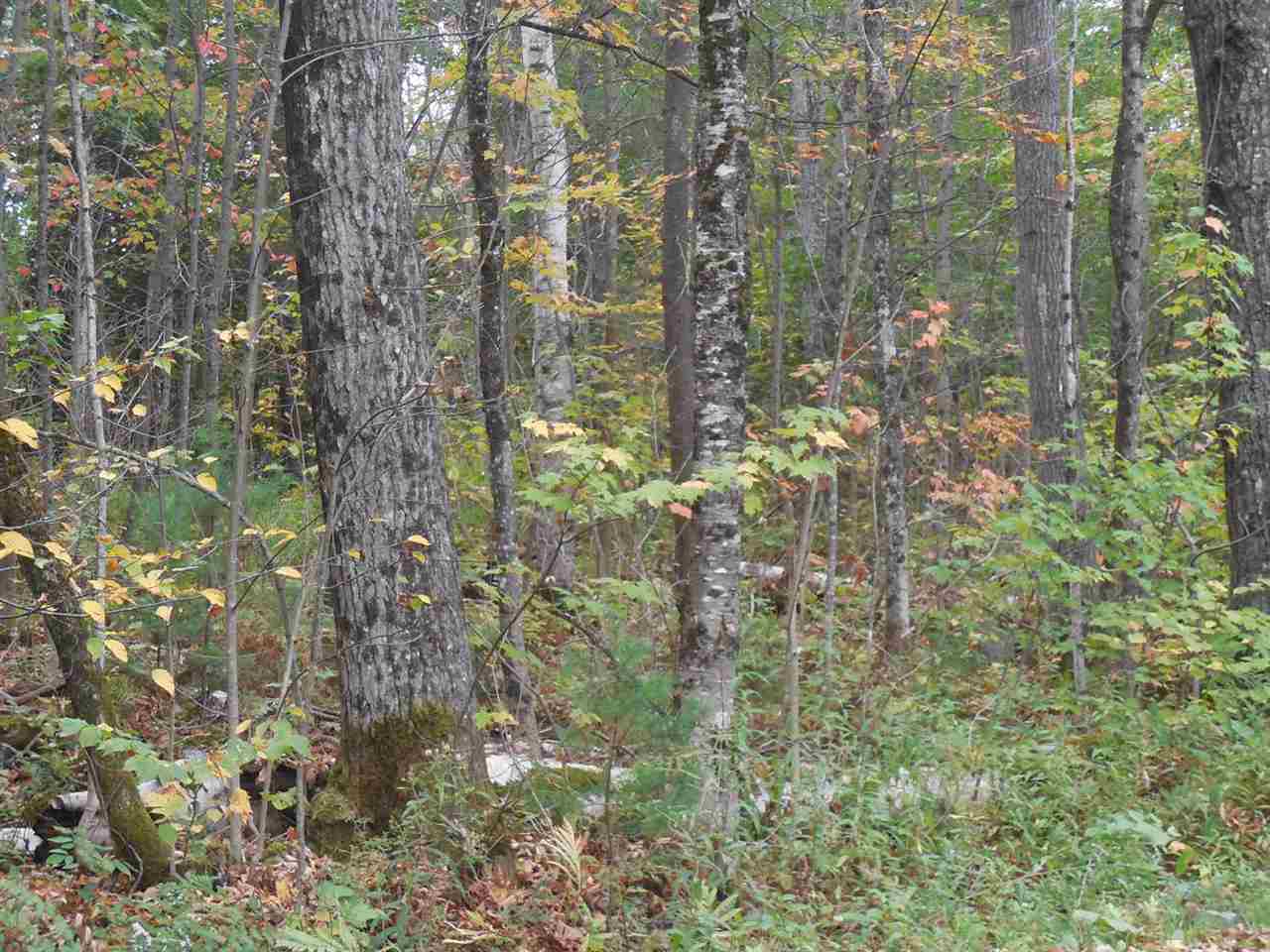 0 Sand Hill Road East Calais, VT 05650 - Photo 5 of 6