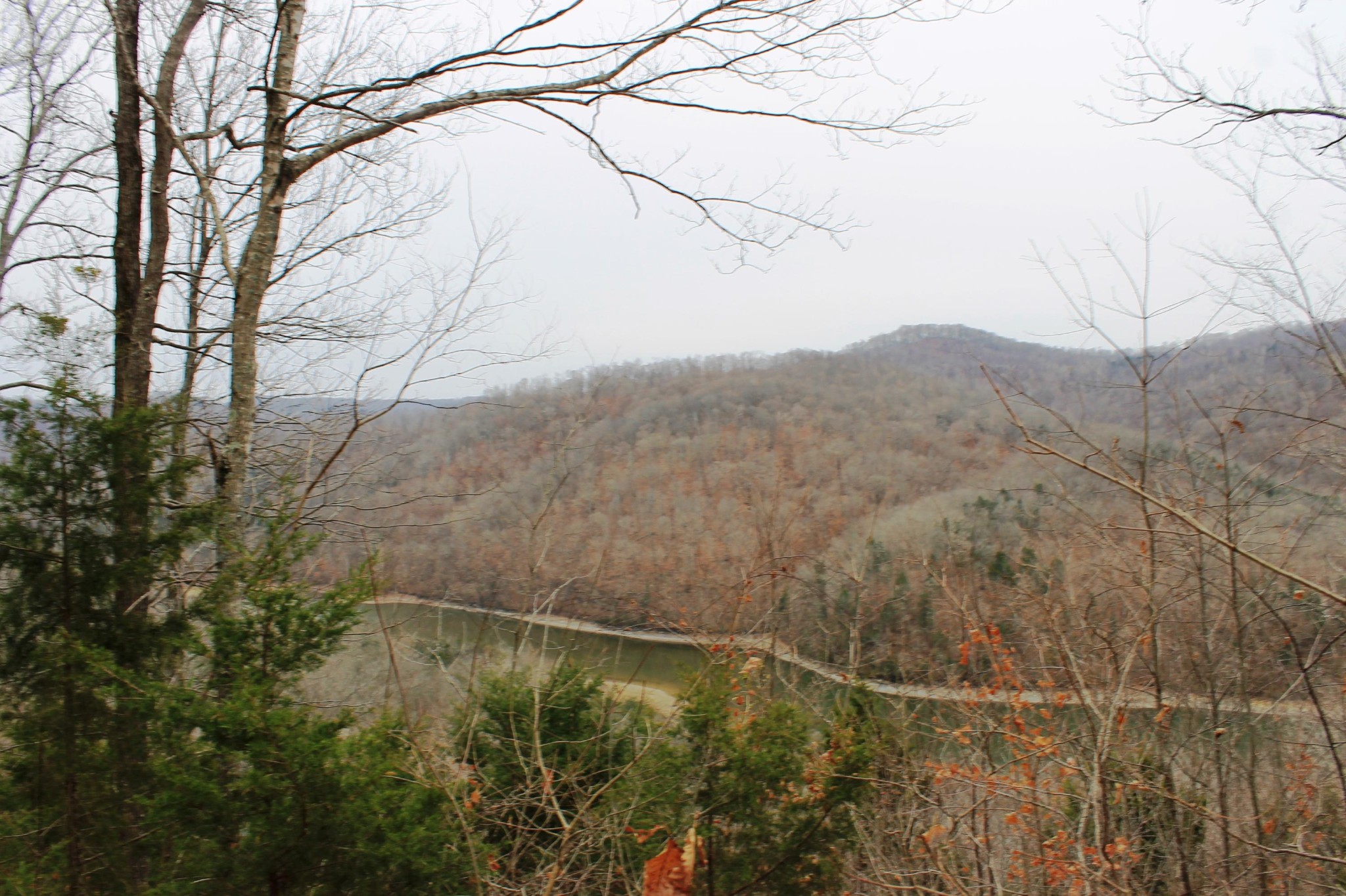 2 Cornerstone Pkwy Point Allons, TN 38541 - Photo 8 of 13