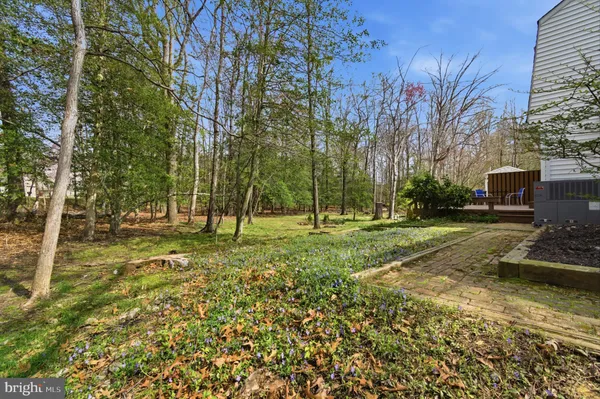 a view of a tree in a yard