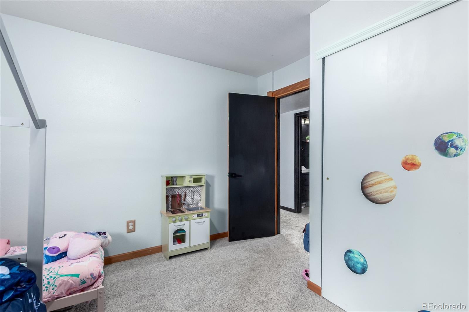 121 Sunlight Lane Bailey, CO 80421 - Photo 23 of 30
