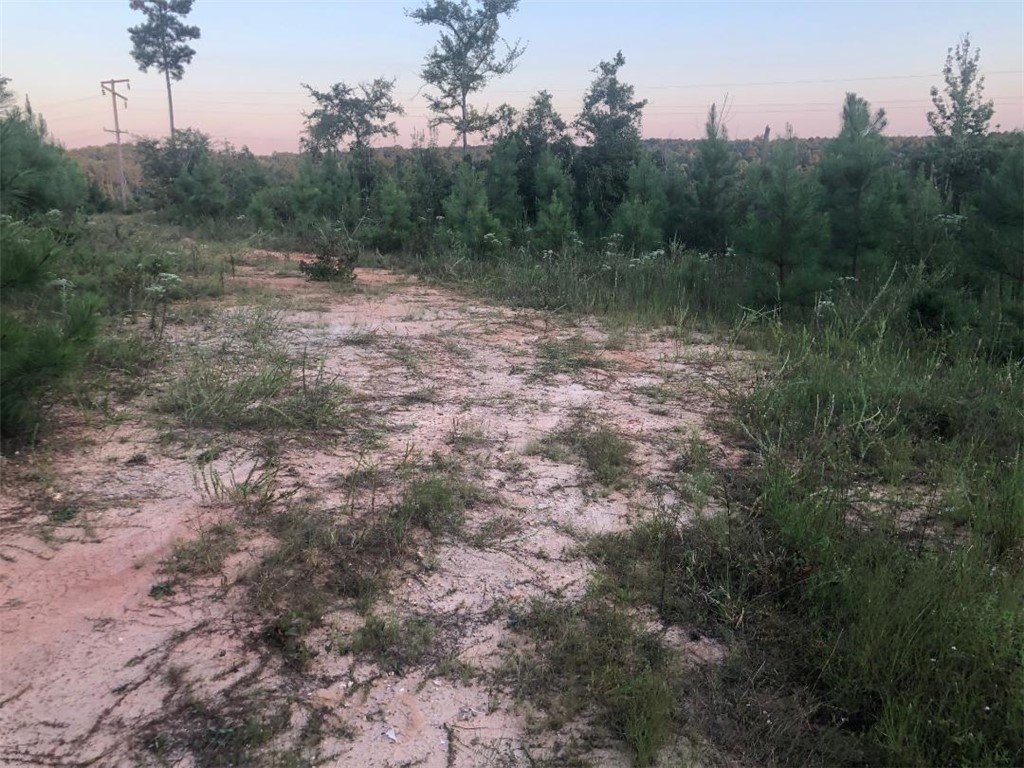 56.57-acres Lake Secession Road Abbeville, SC 29620 - Photo 5 of 11