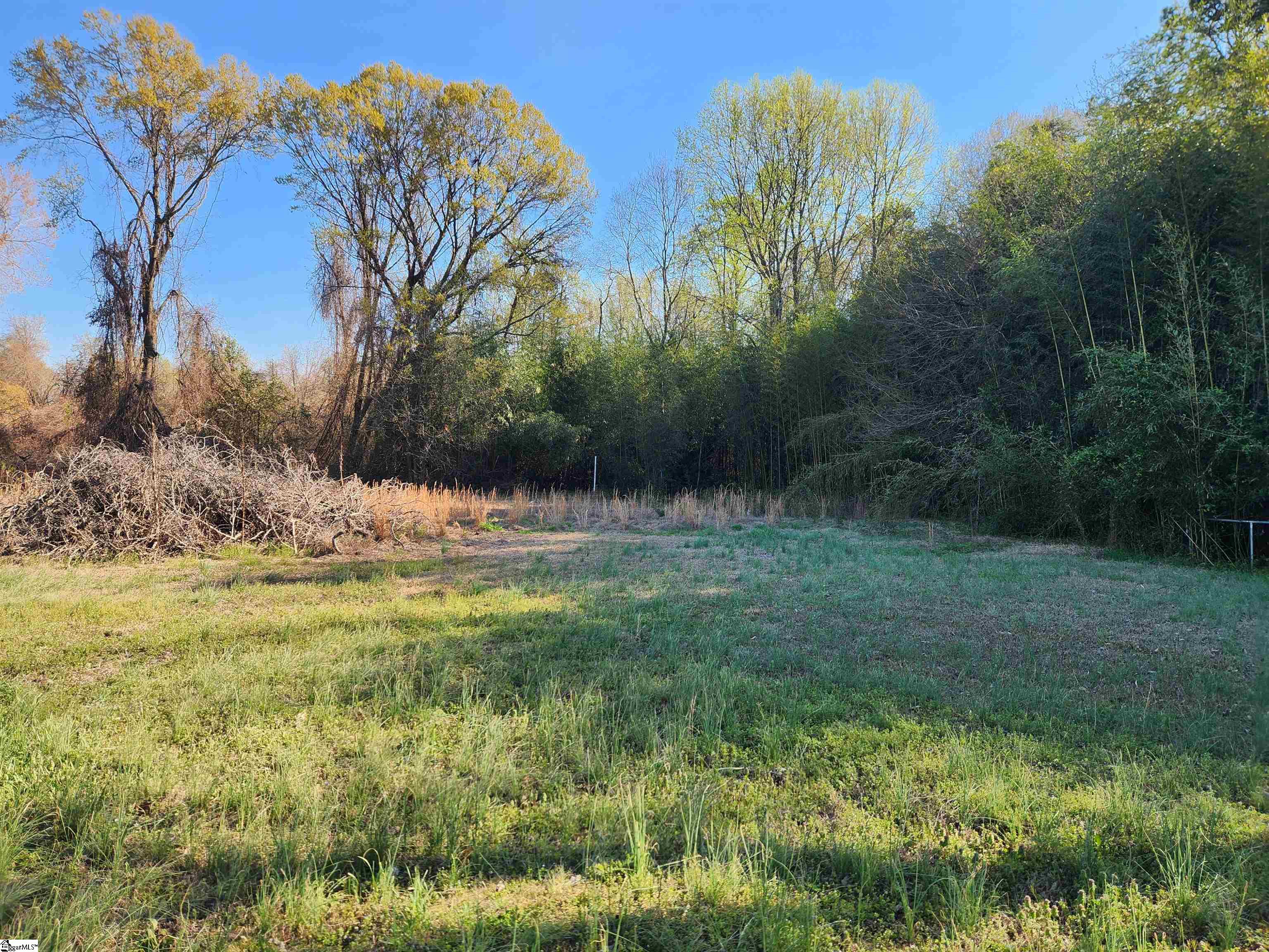 1212 Duncan Reidville Road Duncan, SC 29334 - Photo 31 of 36