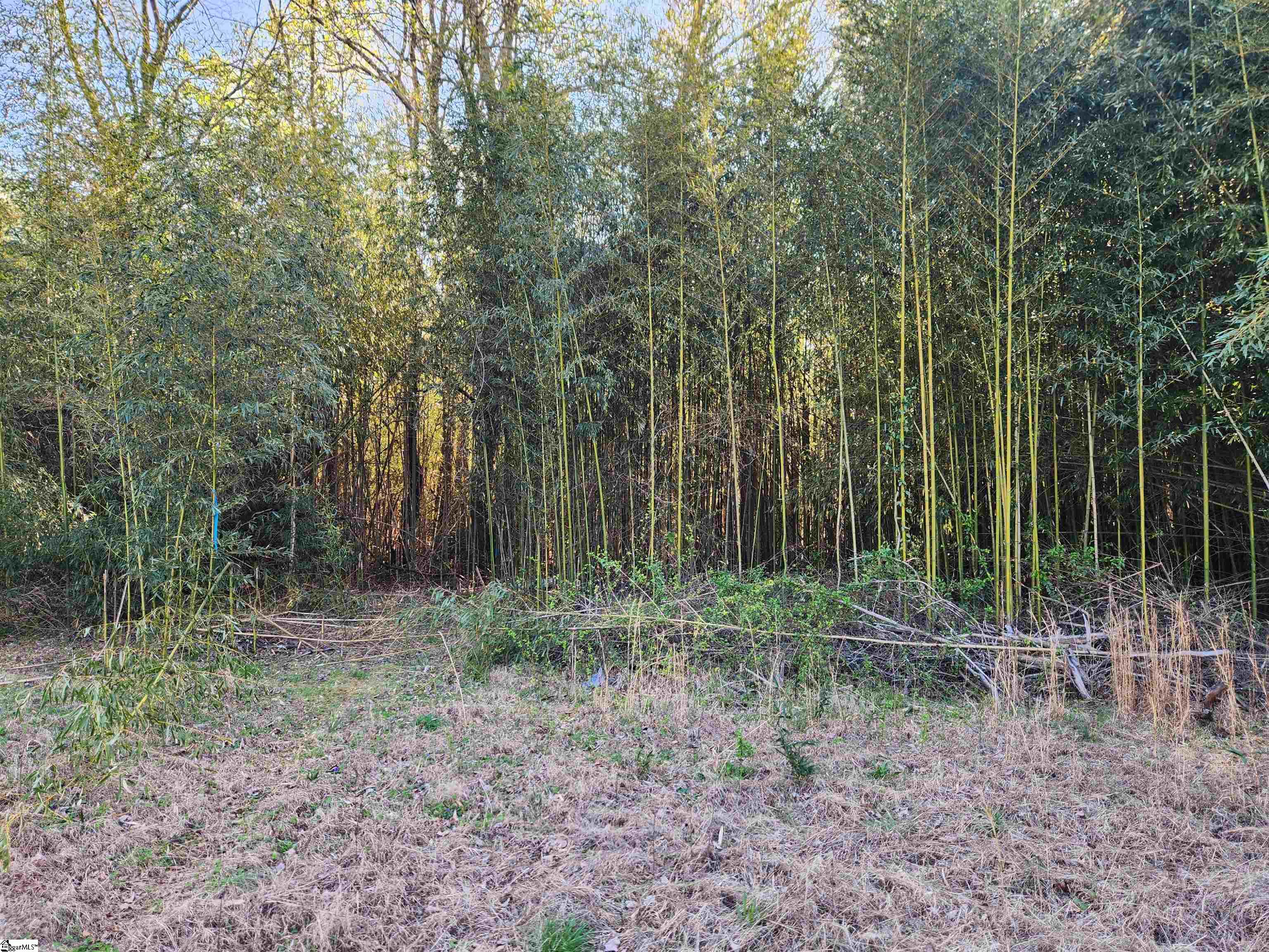 1212 Duncan Reidville Road Duncan, SC 29334 - Photo 33 of 36