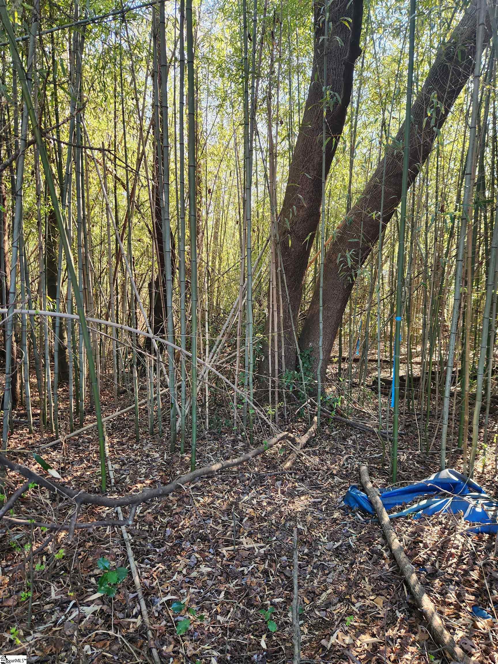 1212 Duncan Reidville Road Duncan, SC 29334 - Photo 34 of 36