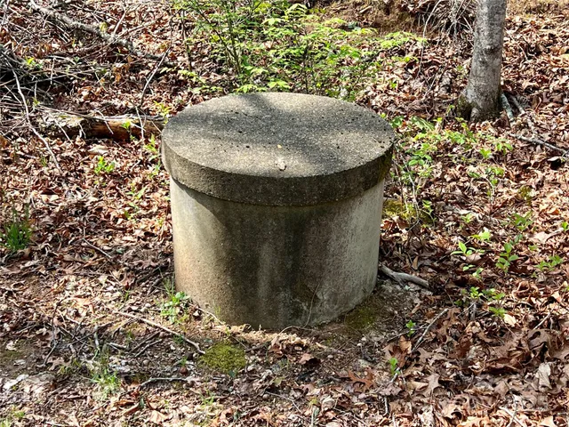 a view of a bird bath