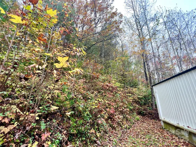 a view of a yard with a tree