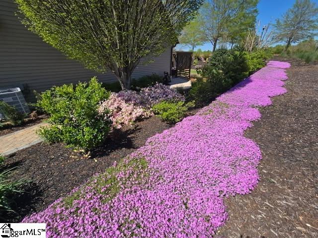 2 Mossycup Road Taylors, SC 29687 - Photo 32 of 35