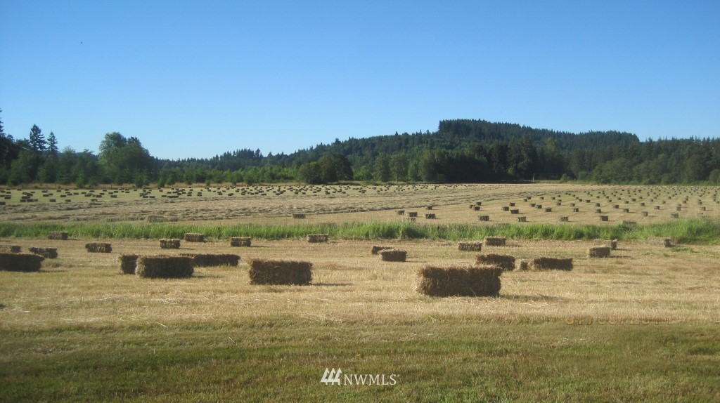 491-24 Boistfort Road Curtis, WA 98538 - Photo 23 of 25 Gallery Image 23