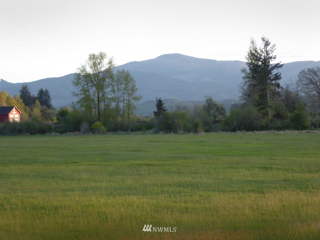 491-24 Boistfort Road Curtis, WA 98538 - Photo 9 of 25 Gallery Image 9