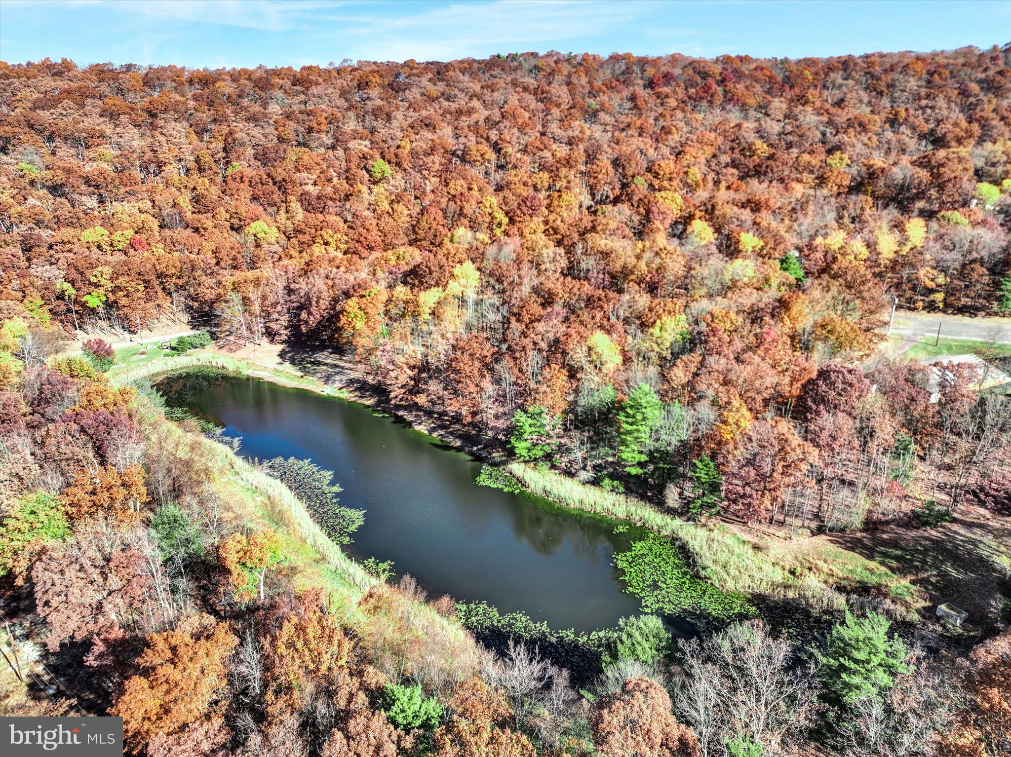 130 Spring Mountain Drive Zion Grove, PA 17985 - Photo 15 of 26 a view of lake