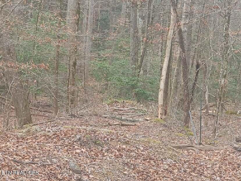 Waters End Road Walland, TN 37886 - Photo 11 of 18 Resized952026030695105409