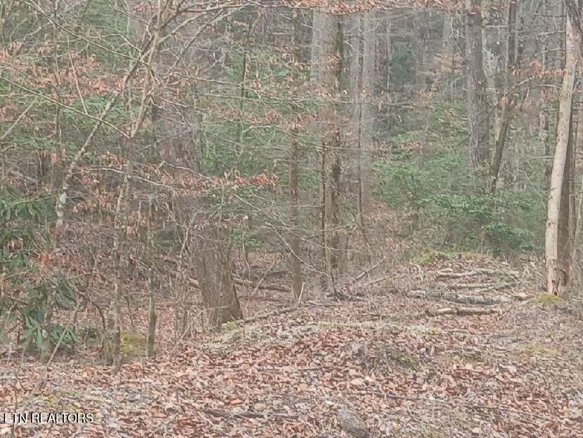 Waters End Road Walland, TN 37886 - Photo 12 of 18 Resized952026030695105401