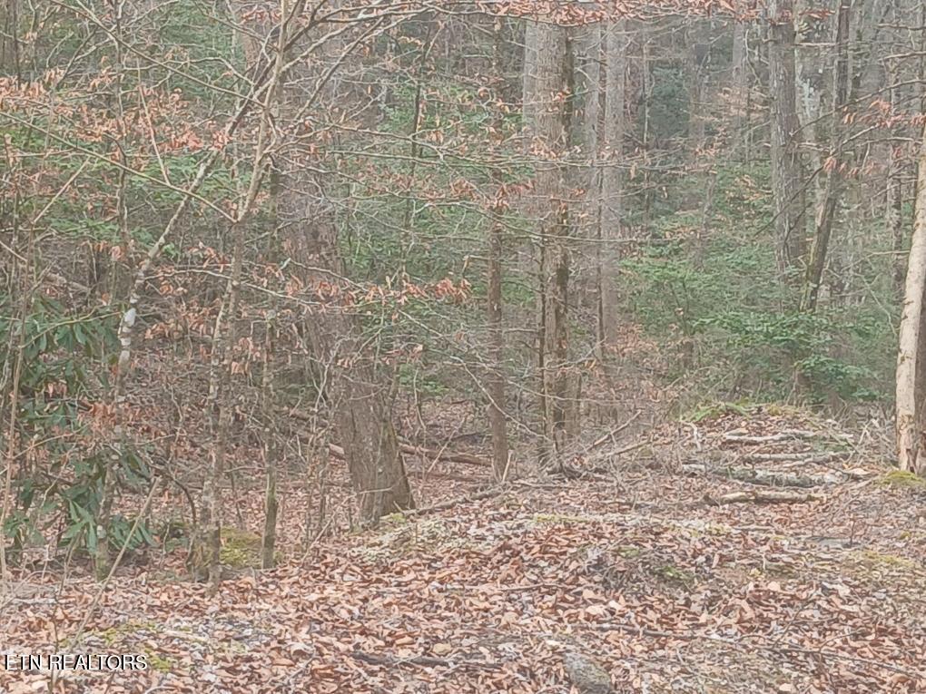Waters End Road Walland, TN 37886 - Photo 13 of 18 Resized952026030695105400
