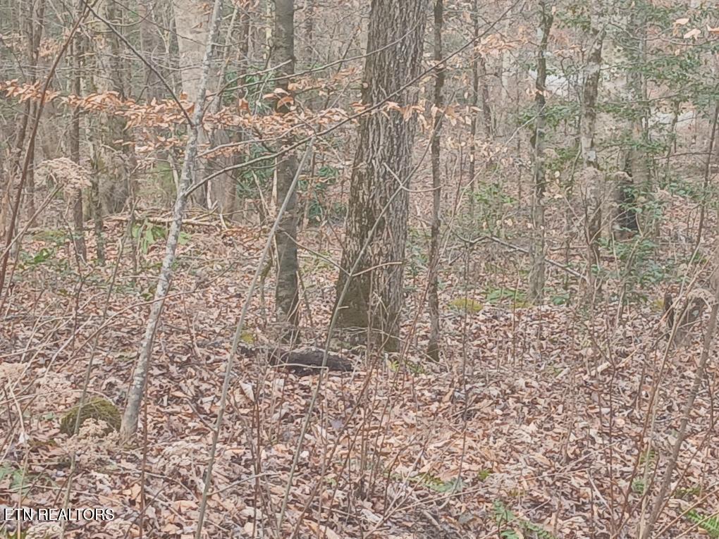 Waters End Road Walland, TN 37886 - Photo 15 of 18 Resized952026030695105301
