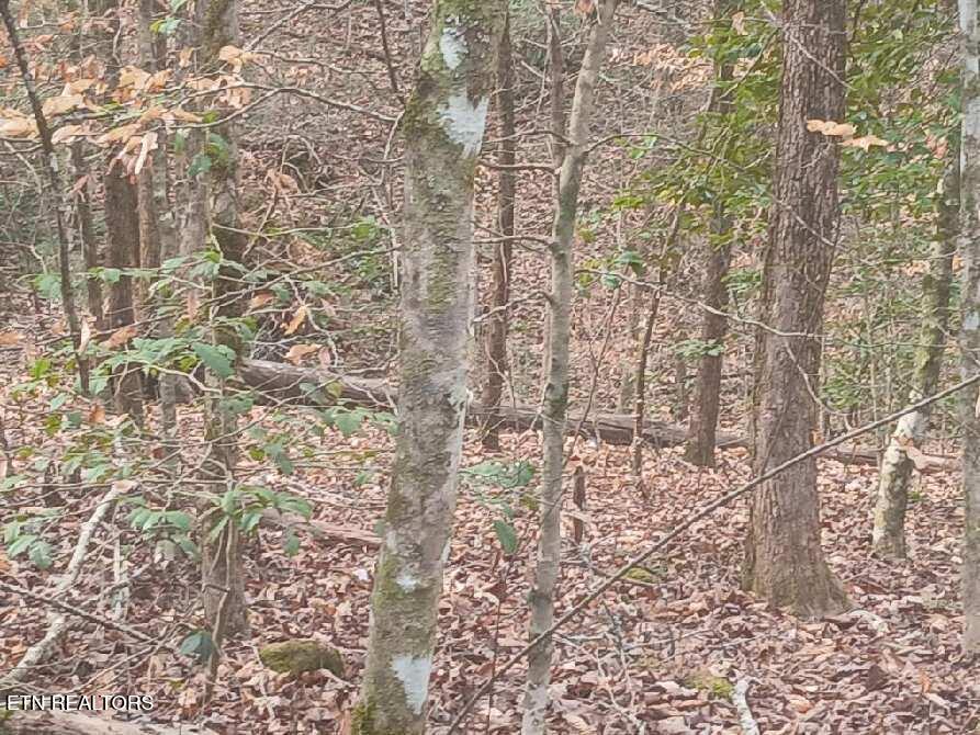 Waters End Road Walland, TN 37886 - Photo 16 of 18 Resized952026030695105255