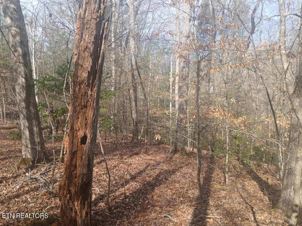 Waters End Road Walland, TN 37886 - Photo 17 of 18 Resized952026030695104356