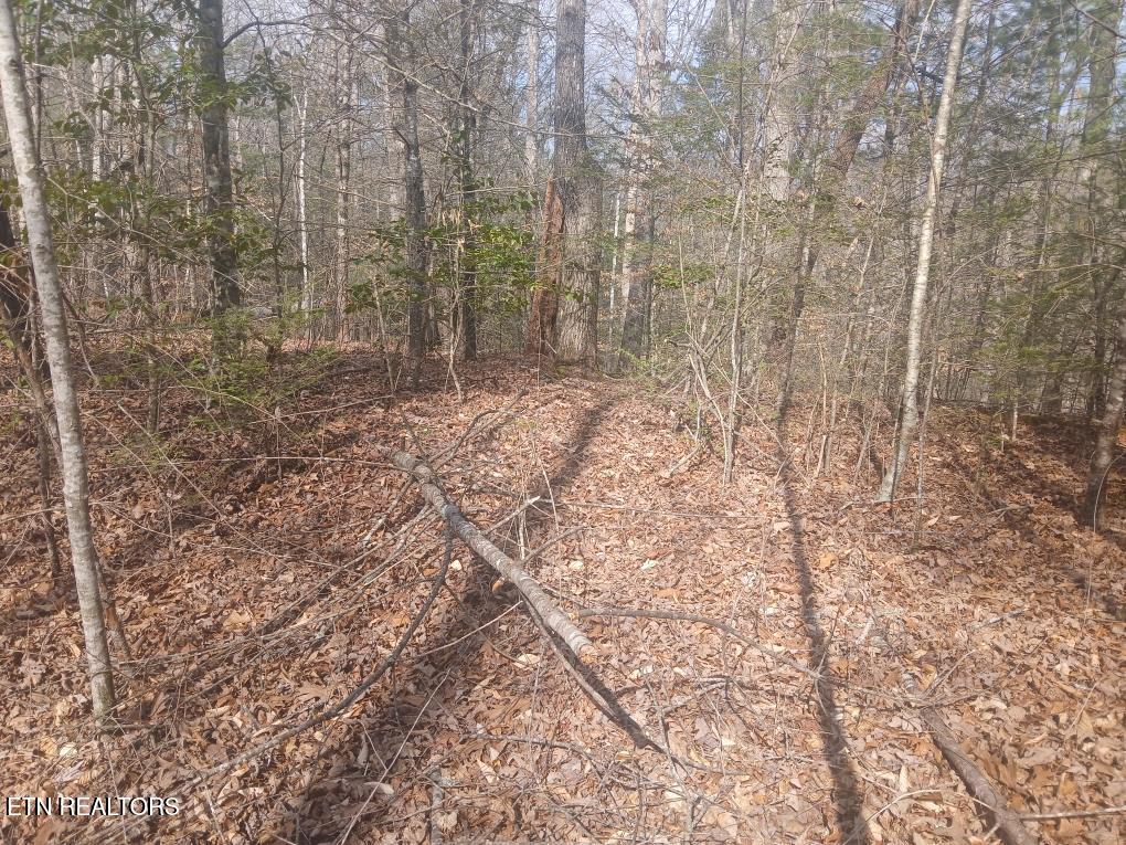 Waters End Road Walland, TN 37886 - Photo 18 of 18 Resized952026030695104320
