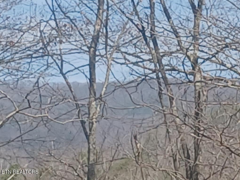 Waters End Road Walland, TN 37886 - Photo 4 of 18 Resized952026030695104951