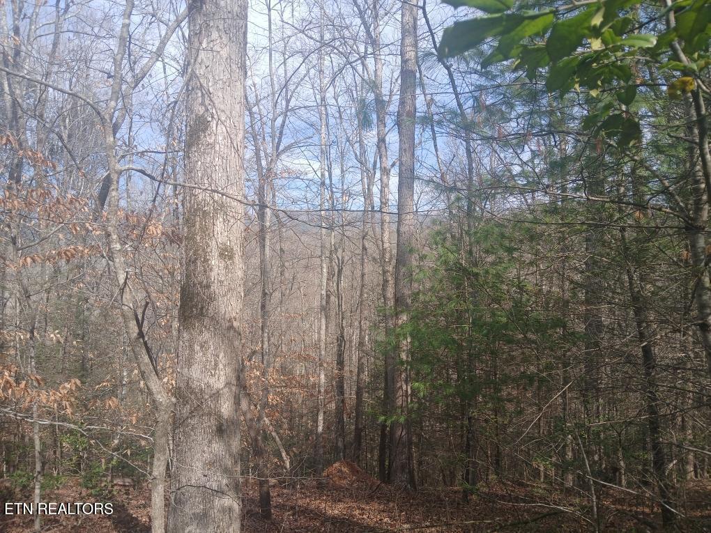 Waters End Road Walland, TN 37886 - Photo 6 of 18 Resized952026030695104352
