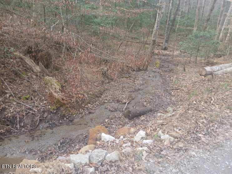 Waters End Road Walland, TN 37886 - Photo 7 of 18 Resized952026030695105539