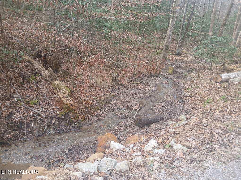 Waters End Road Walland, TN 37886 - Photo 8 of 18 Resized952026030695105537