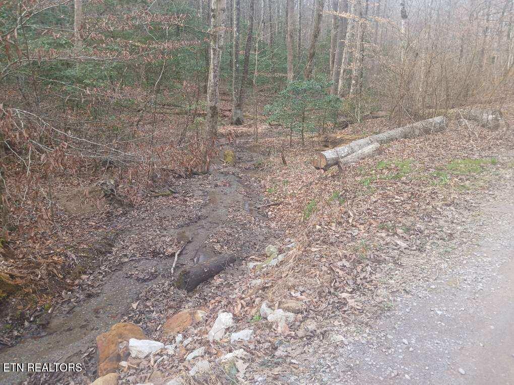 Waters End Road Walland, TN 37886 - Photo 9 of 18 Resized952026030695105531