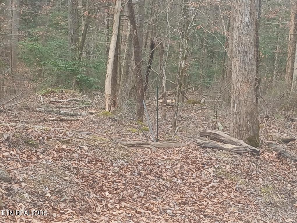 Waters End Road Walland, TN 37886 - Photo 10 of 18 Resized952026030695105413
