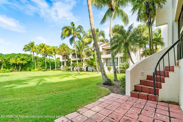 a view of a palm trees
