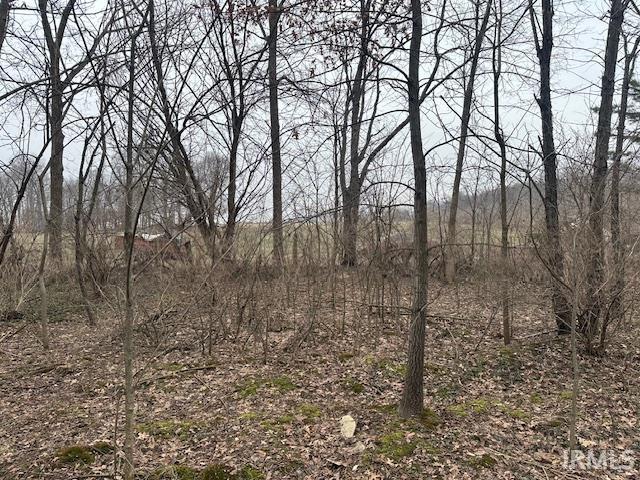 55131 Pear Road South Bend, IN 46628 - Photo 25 of 29