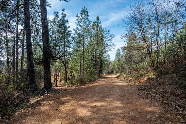 a view of a outdoor space with trees