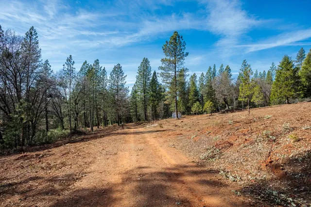a view of a city with lush green forest
