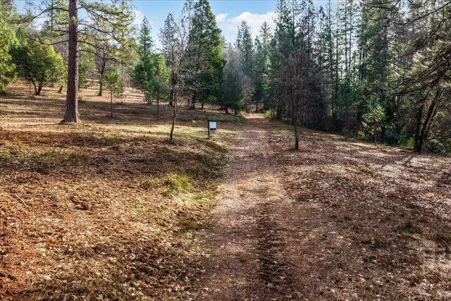 a view of outdoor space with trees