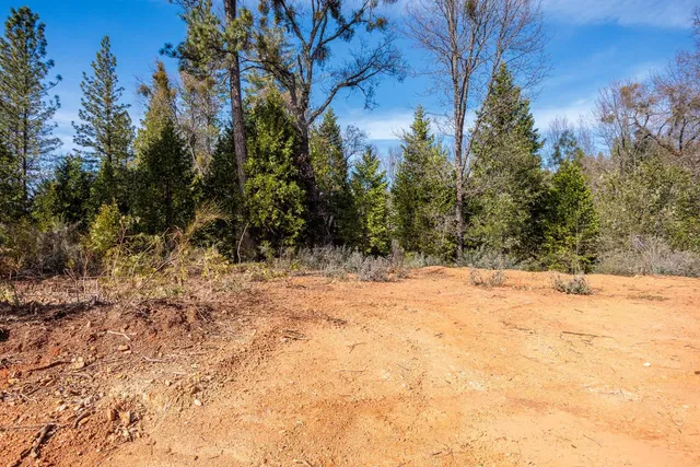 a view of a yard covered in snow