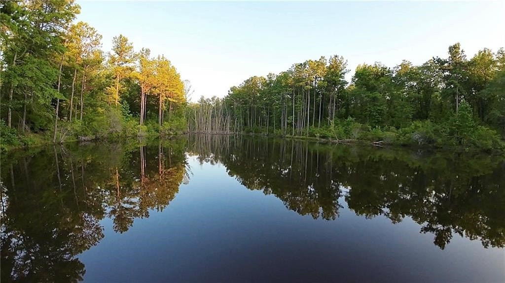 0 Sweetwater Branch Road Fort Mitchell, AL 36856 - Photo 12 of 20 Gallery Image 12