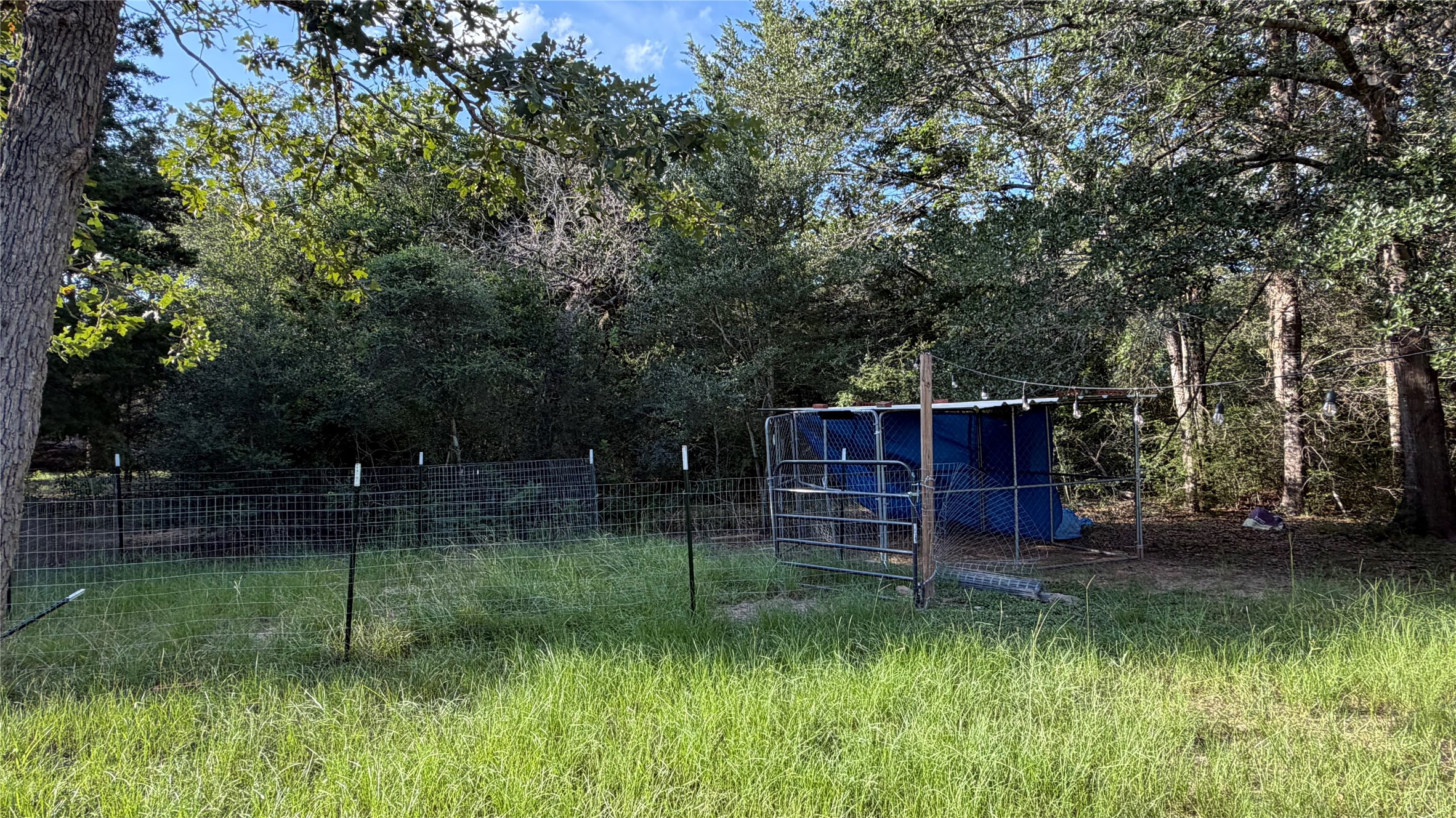 26011 Bernard Road New Ulm, TX 78950 - Photo 23 of 27