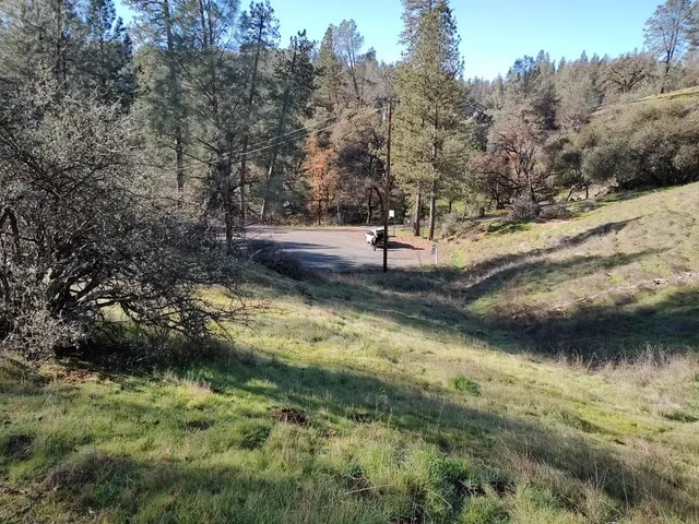 a view of a yard with a tree