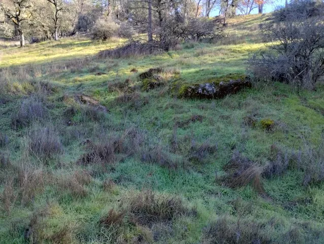 a view of outdoor space with trees all around