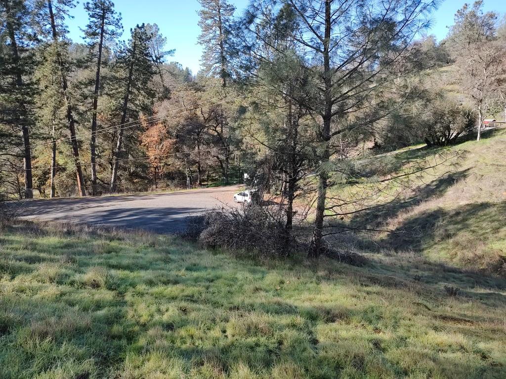 12288 Kenneth Court Grass Valley, CA 95949 - Photo 13 of 13 a view of outdoor space and yard