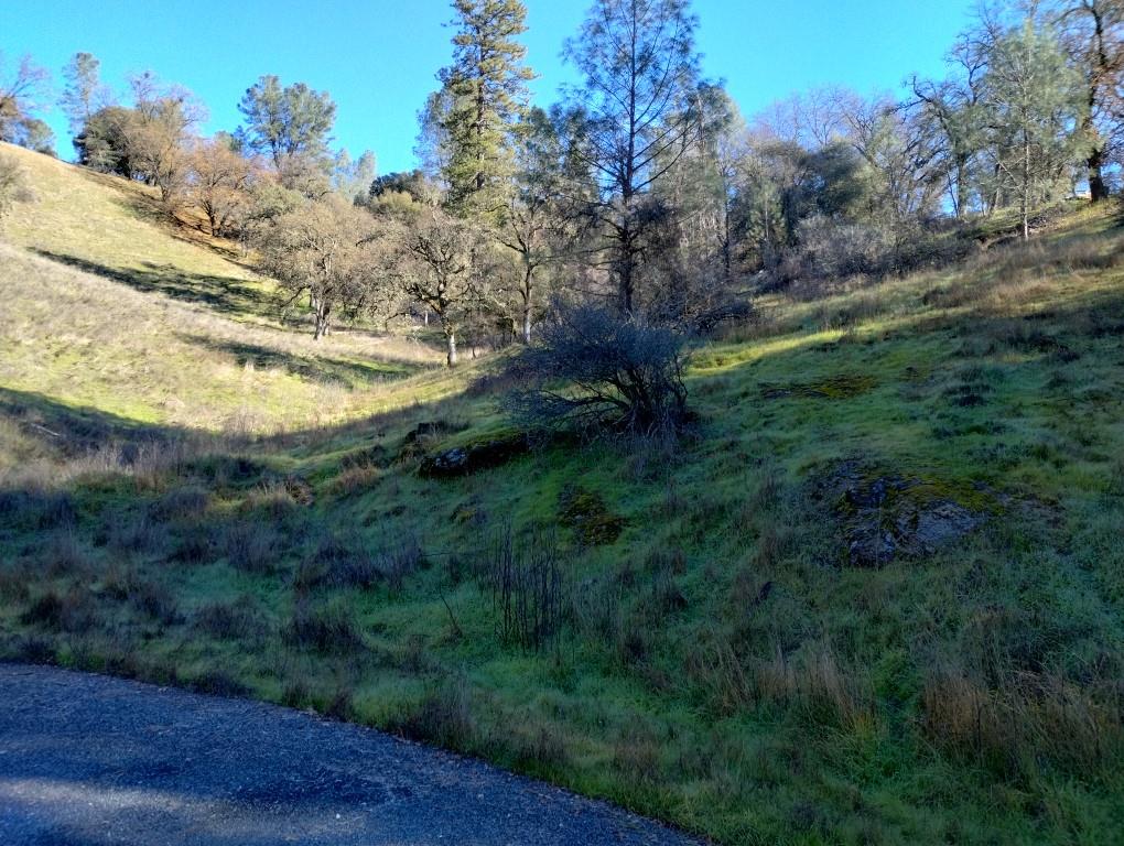 12288 Kenneth Court Grass Valley, CA 95949 - Photo 6 of 13 a view of an outdoor space and a yard