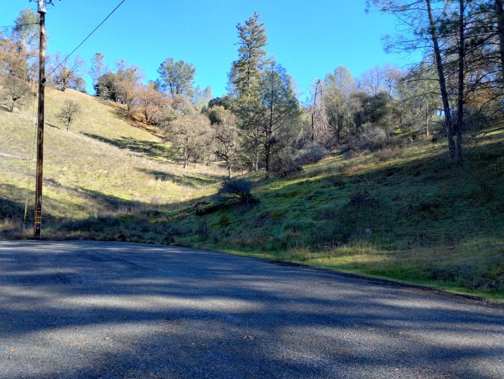 12288 Kenneth Court Grass Valley, CA 95949 - Photo 8 of 13 a view of a yard with a tree