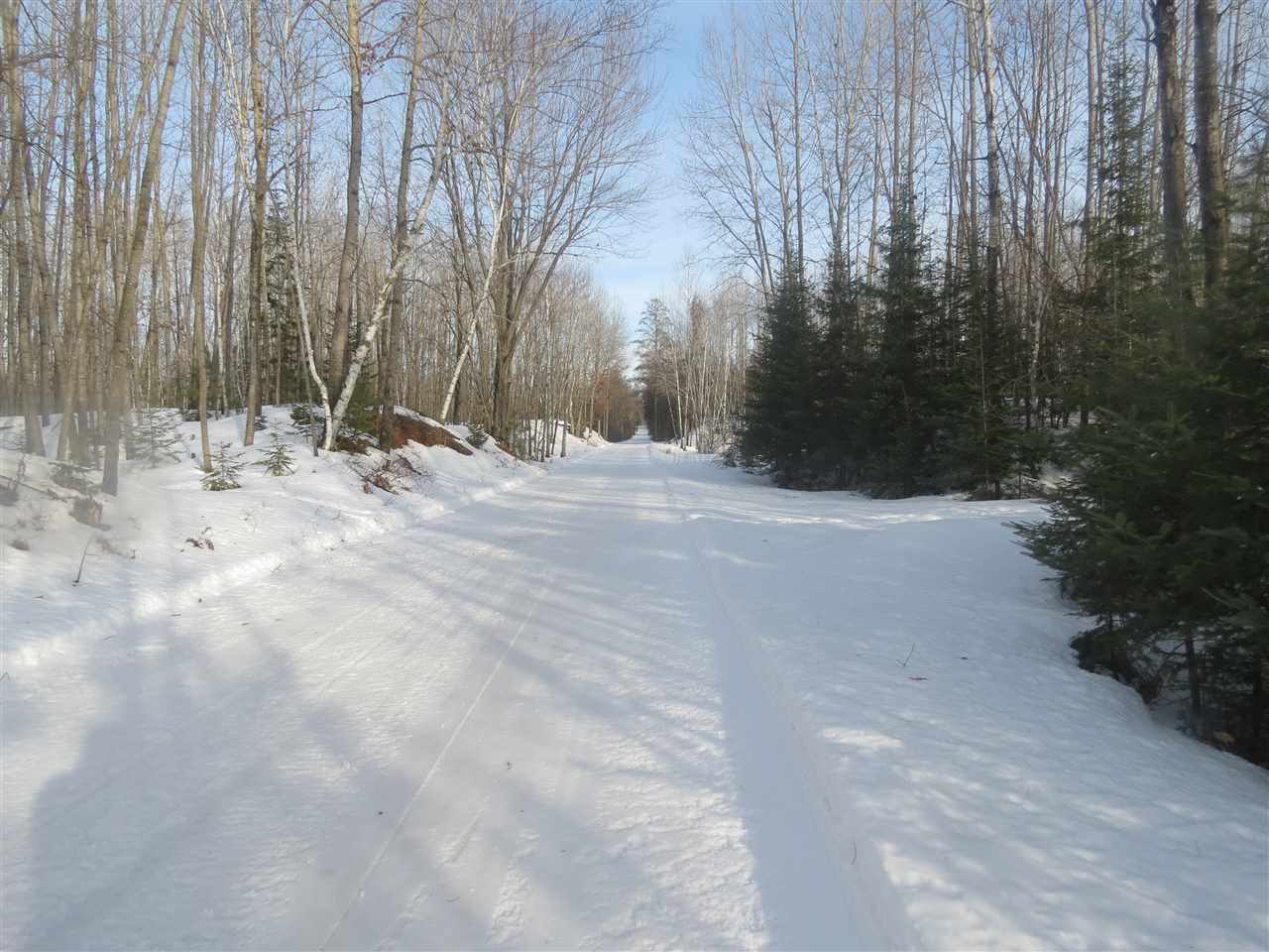 40-ac 40-ac Moonlite Road Wittenberg, WI 54499 - Photo 1 of 1