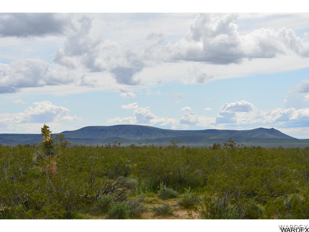 2144 A Wyatt Earp Road Yucca, AZ 86438 - Photo 16 of 16 Gallery Image 16